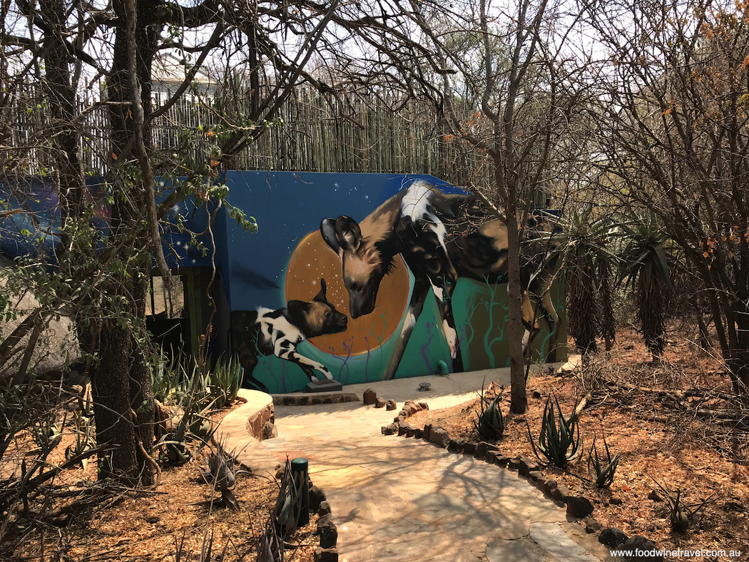 Wild dogs depicted on the wall of one of the starbed suites at Jaci's Safari Lodge.