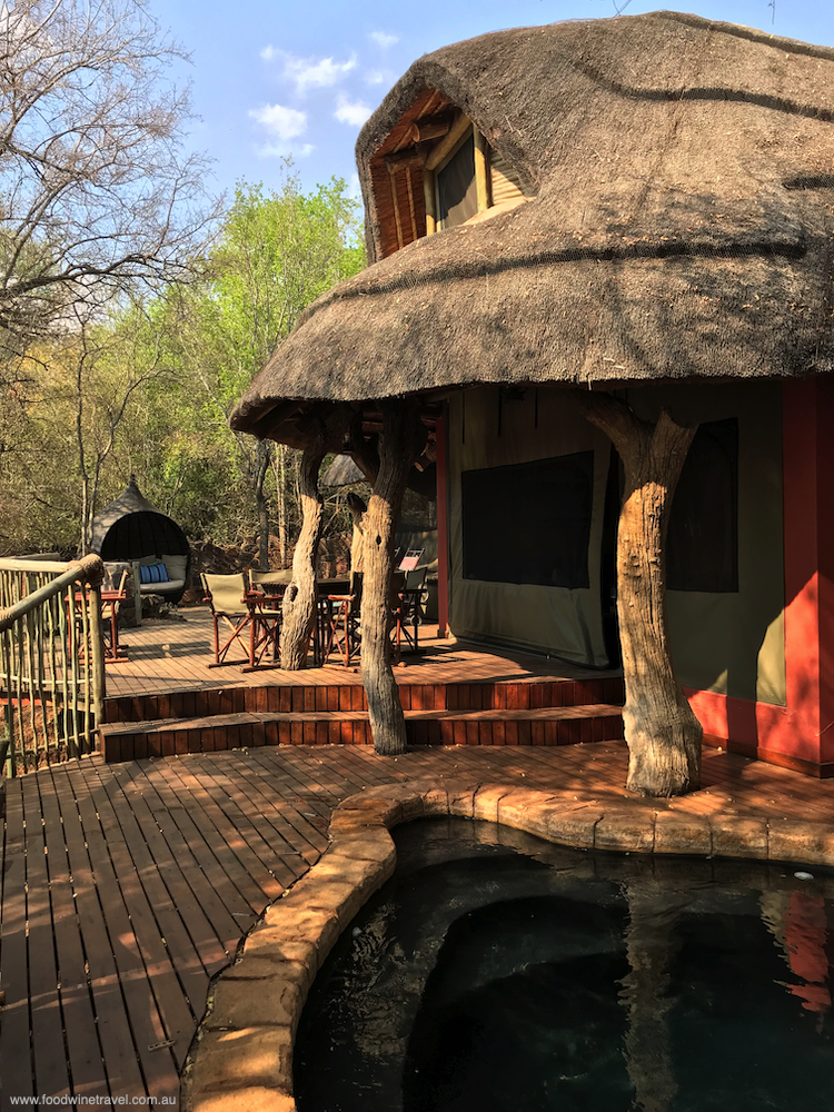 My own private pool in the Nare suite at Jaci's Safari Lodge.