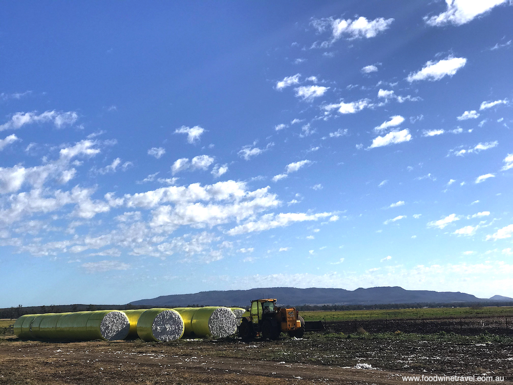 Cotton bales on the roadside.