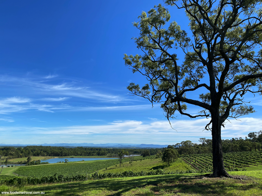 Not just one of the oldest vineyards, but also one of the prettiest.