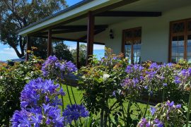 Audrey Wilkinson Vineyard is one of the most popular Hunter Valley cellar doors.