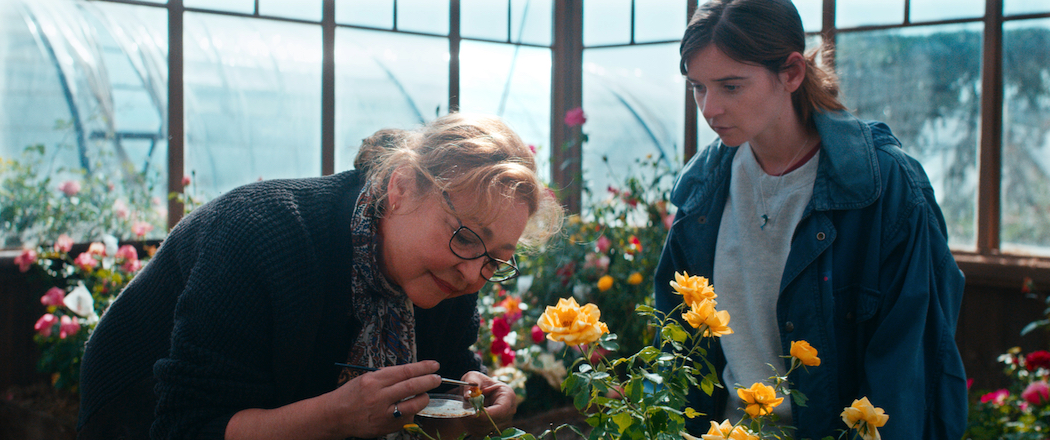 French Film Festival 2021 The Rose Maker is a gentle comedy in the grand French tradition.