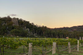 The moon rises over Balancing Heart Vineyard, now undergoing a major upgrade after being purchased by new owners Greg and Lee-Anne Kentish.