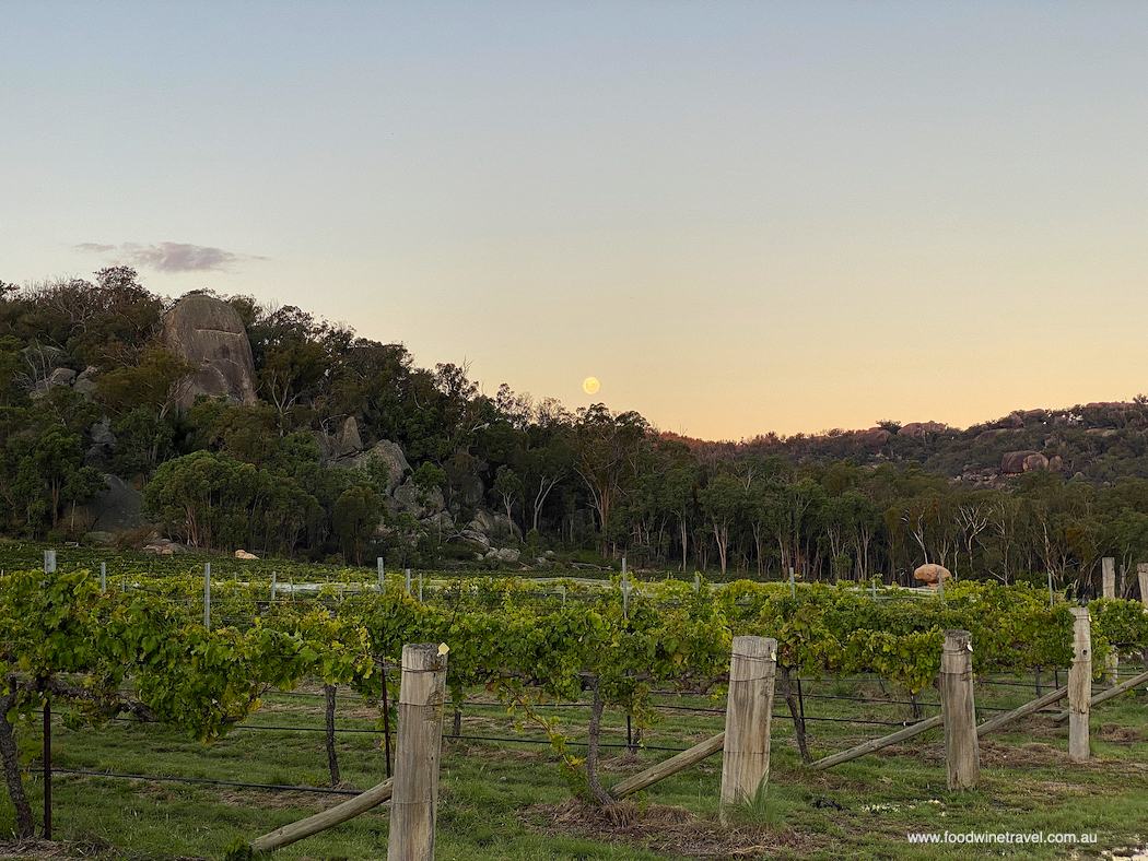 The moon rises over Balancing Heart Vineyard, now undergoing a major upgrade after being purchased by new owners Greg and Lee-Anne Kentish.