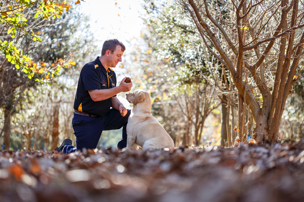 Gavin Booth with truffle hunting dog, Molly, on the farm in Manjimup. Photo © Jessica Wyld.