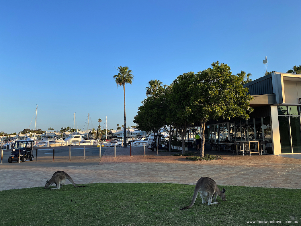 New restaurants and bars for Sanctuary Cove