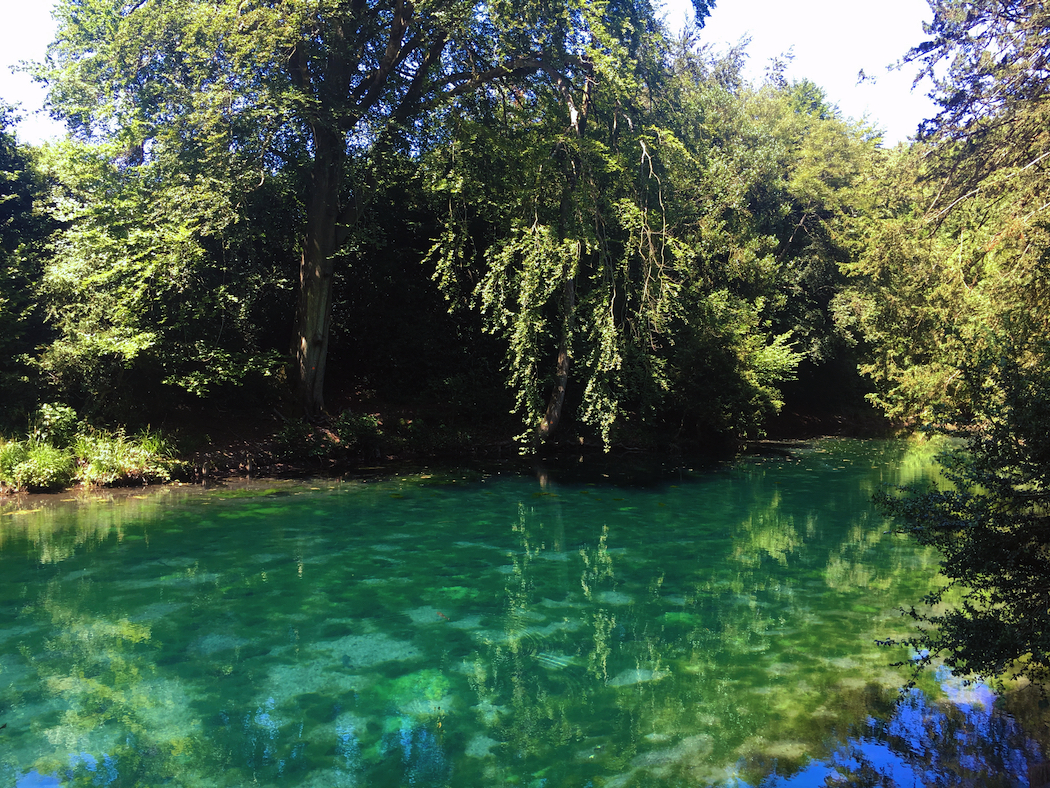 Silent Pool Distillery