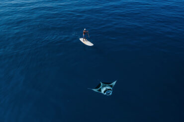 The Maldives is one of the best places in the world to see and swim with manta rays.