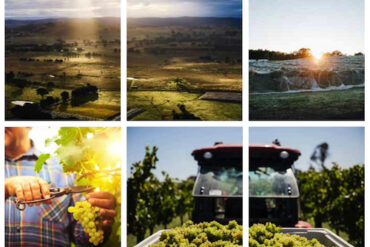 Story on Canberra wine region by Christine Salins in Halliday magazine.