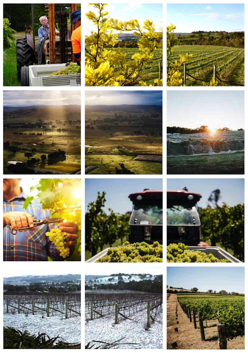 Story on Canberra wine region by Christine Salins in Halliday magazine.