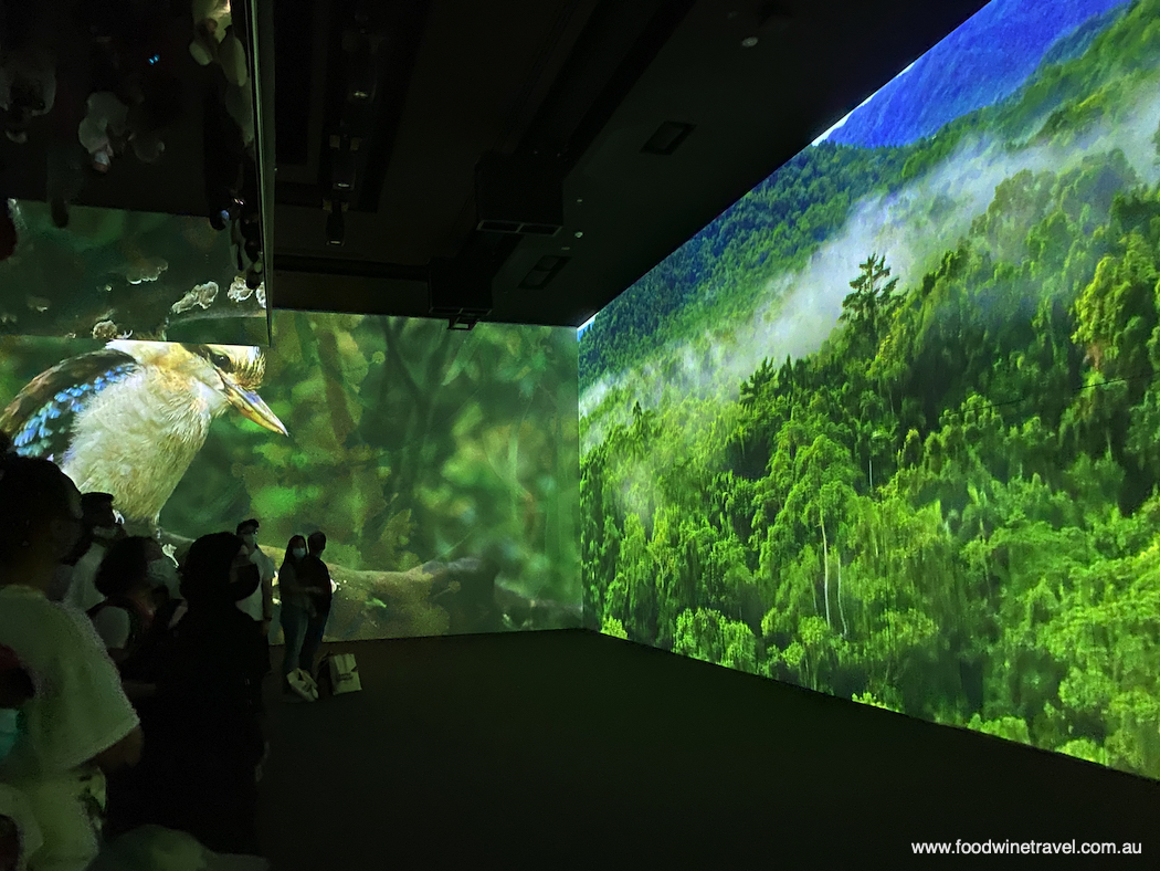 Inside the Australian pavilion, beginning with Aboriginal legends and continuing through to   landscapes and contemporary society.