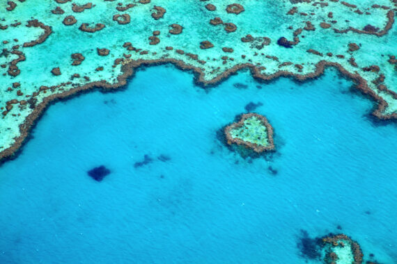 Aerial view of Heart Reef on the Great Barrier Reef in Queensland's Whitsundays.