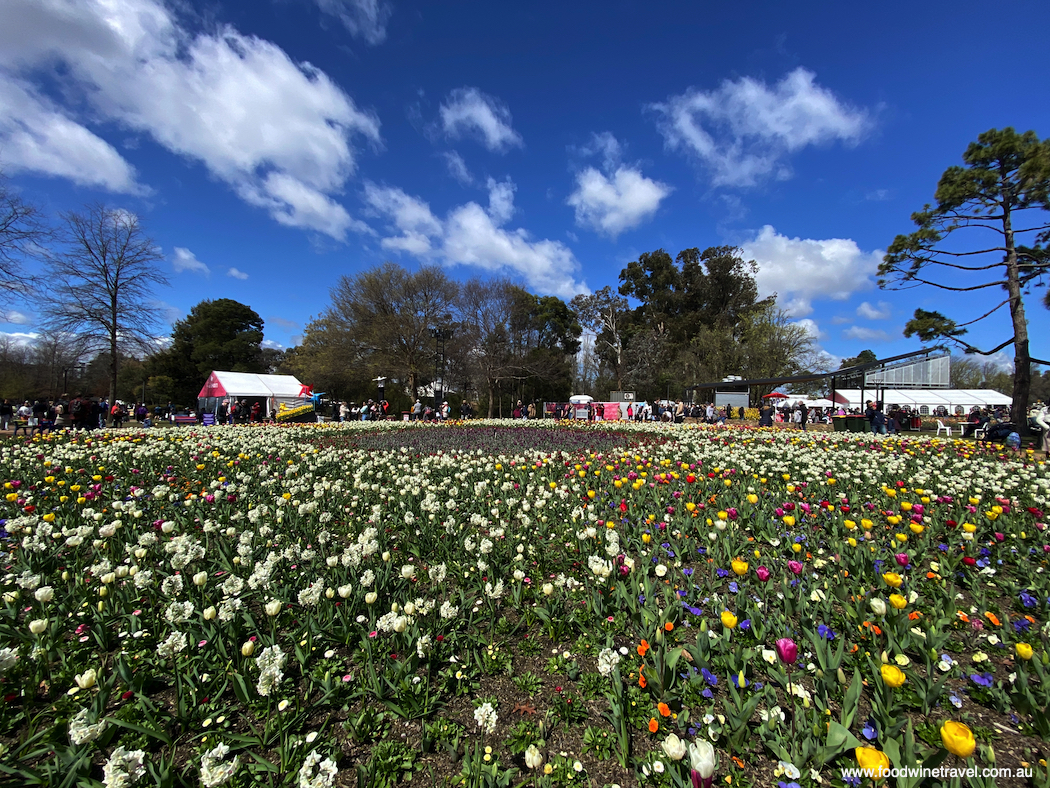 Floriade 2022 in Commonwealth Park Canberra