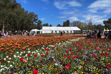 Floriade 2022 in Commonwealth Park Canberra