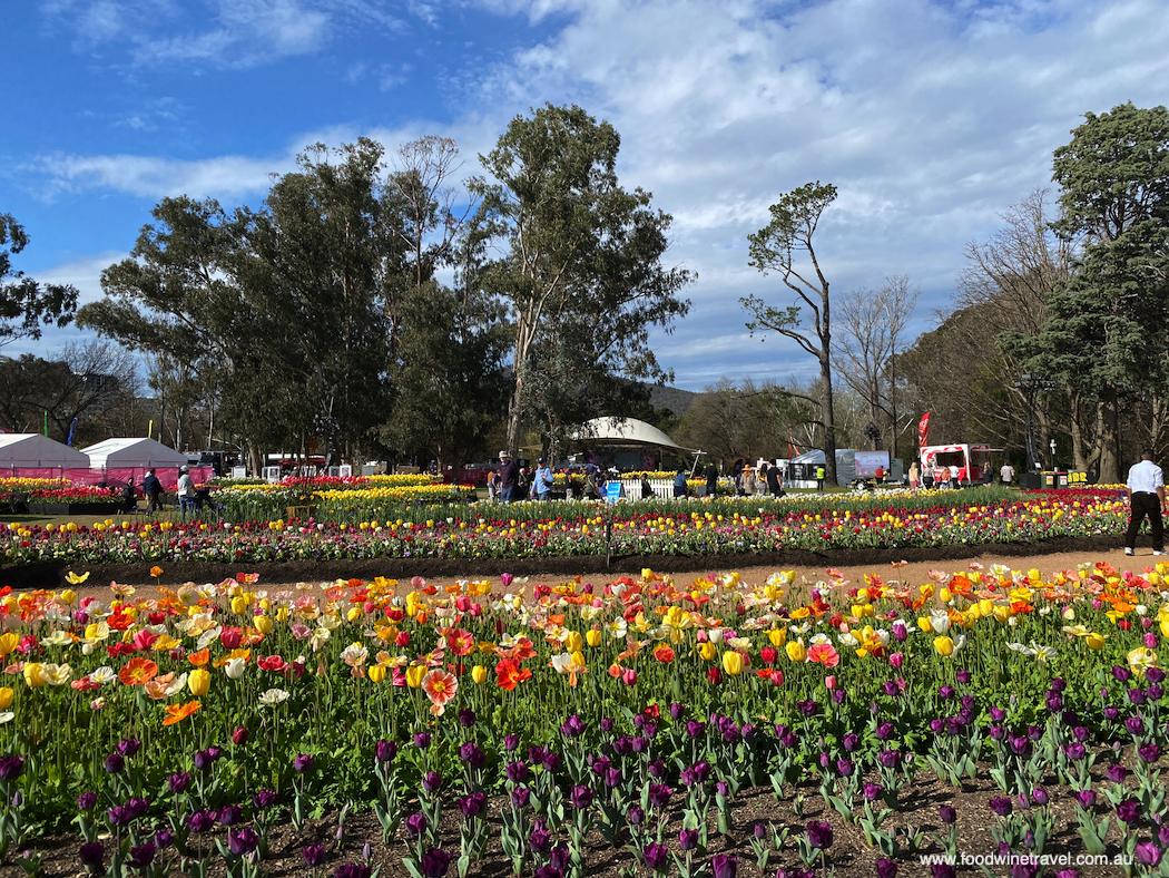 Floriade 2022 in Commonwealth Park Canberra