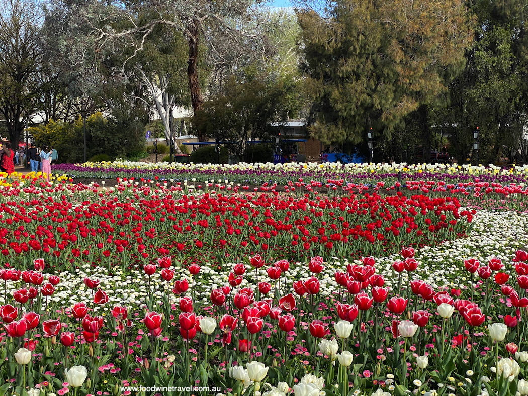 Floriade 2022 in Commonwealth Park Canberra