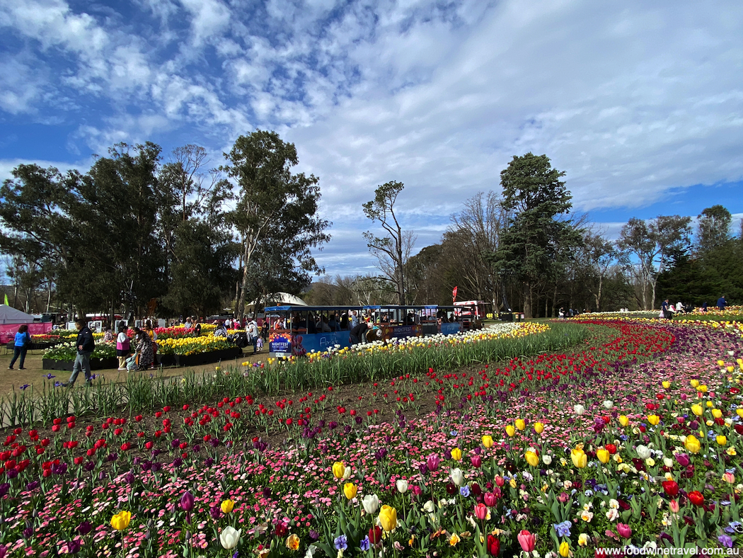 Floriade 2022 in Commonwealth Park Canberra