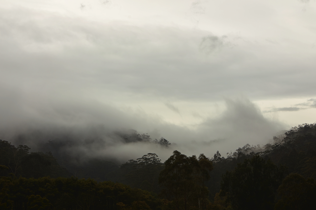 Siteworks 2022: From A Deep Valley is Bundanon's season 3 program. Photo by Zan Wimberley.