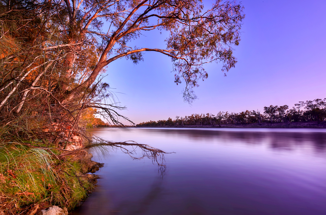 Labels are inspired by Oxford Landing’s beautiful Riverland home.