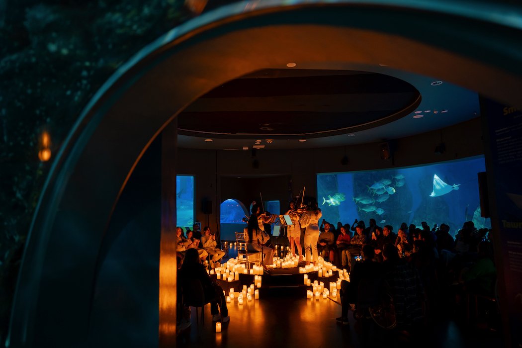Candlelight Concerts Sea Life Melbourne Aquarium