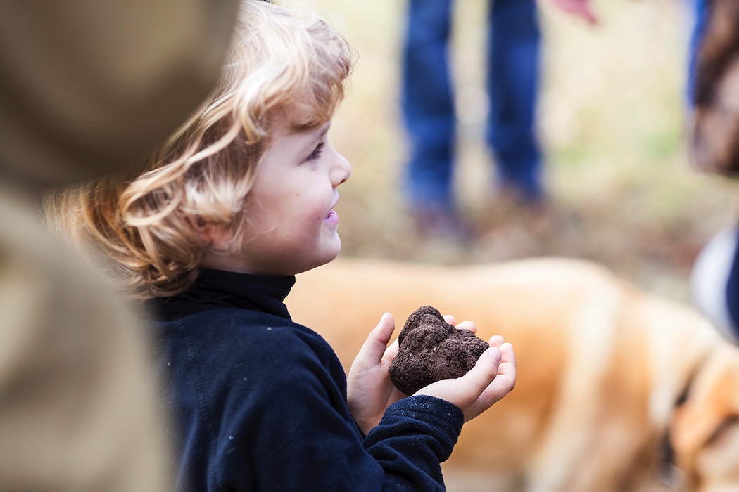 Canberra Festivals. Terra Preta's truffle hunt is one of the highlights of the Truffle Festival in August.
