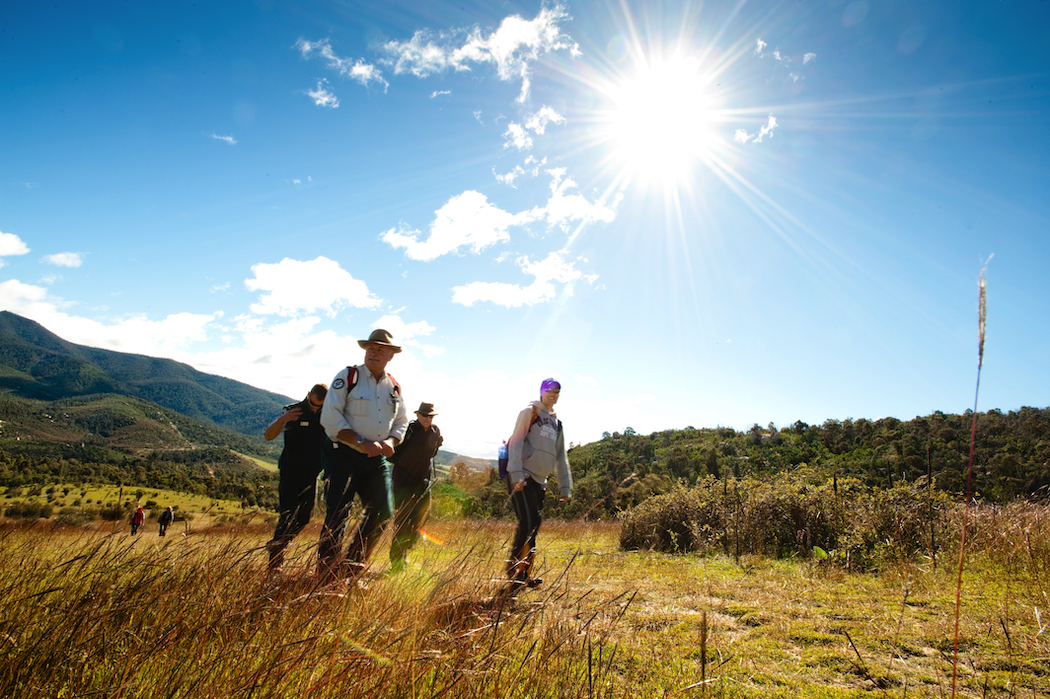 Join in one of the ranger-guided tours at Tidbinbilla Nature Reserve. Photo: Visit Canberra.