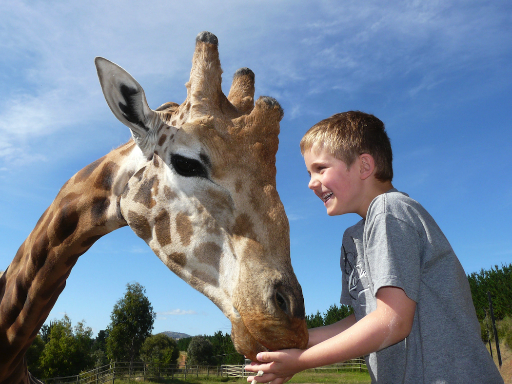 The National Zoo and Aquarium has some great behind-the-scenes tours. Photo: Visit Canberra.