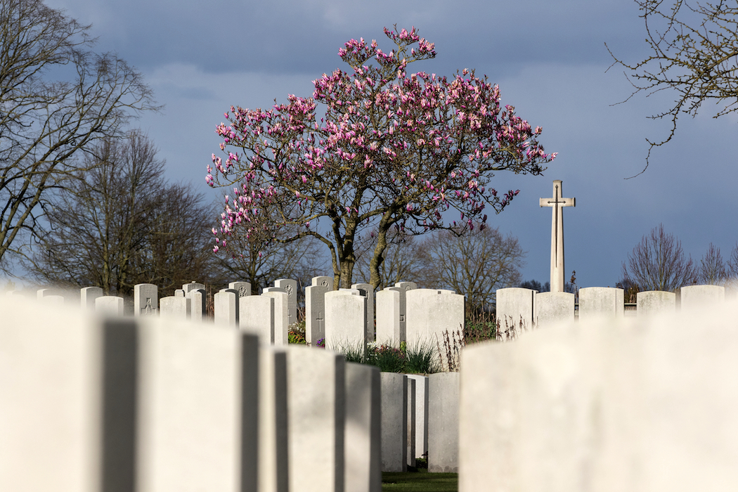 Lest we forget. Photo: Nick Mol.