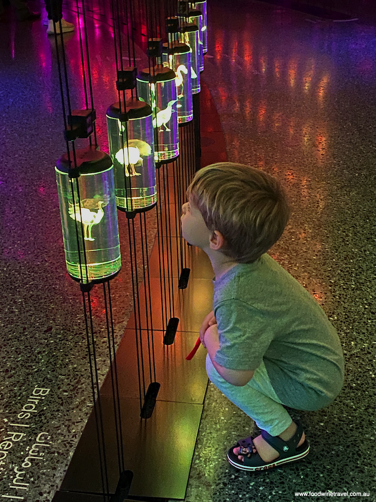 Getting up close and personal with the species on display in the Library of Life.