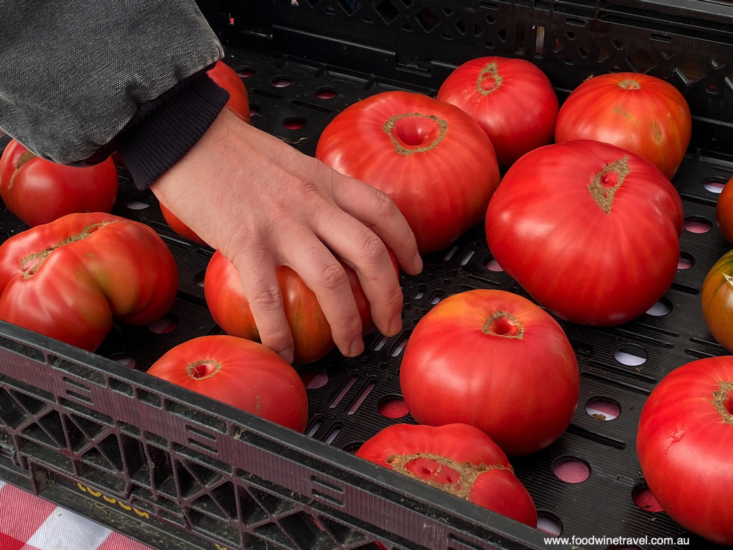 Whidbey Island Bayview Farmers Market Tomatoes