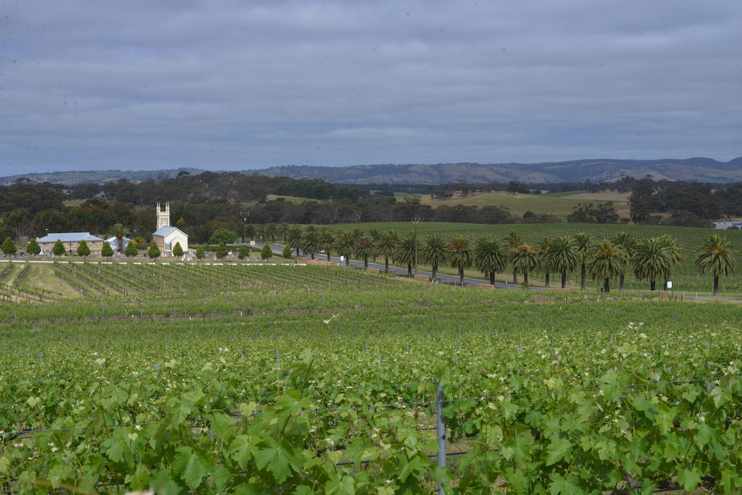 All the Tin Shed Wines are produced in South Australia's Barossa Valley.