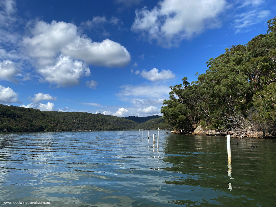 While most Australian oysters are tidal, the Akoya oysters are constantly submerged.