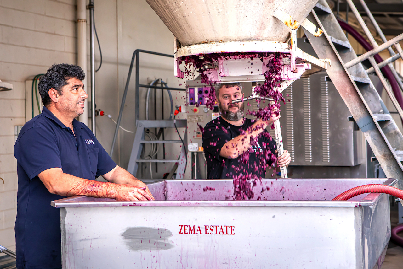 Nick Zema, left, and Joe Cory getting their hands dirty during vintage.