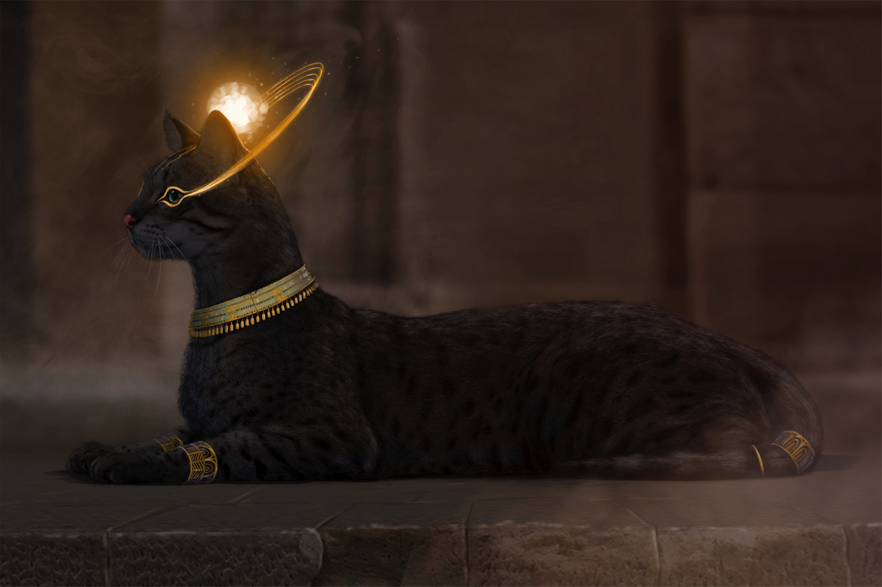 Horizon of Khufu the cat