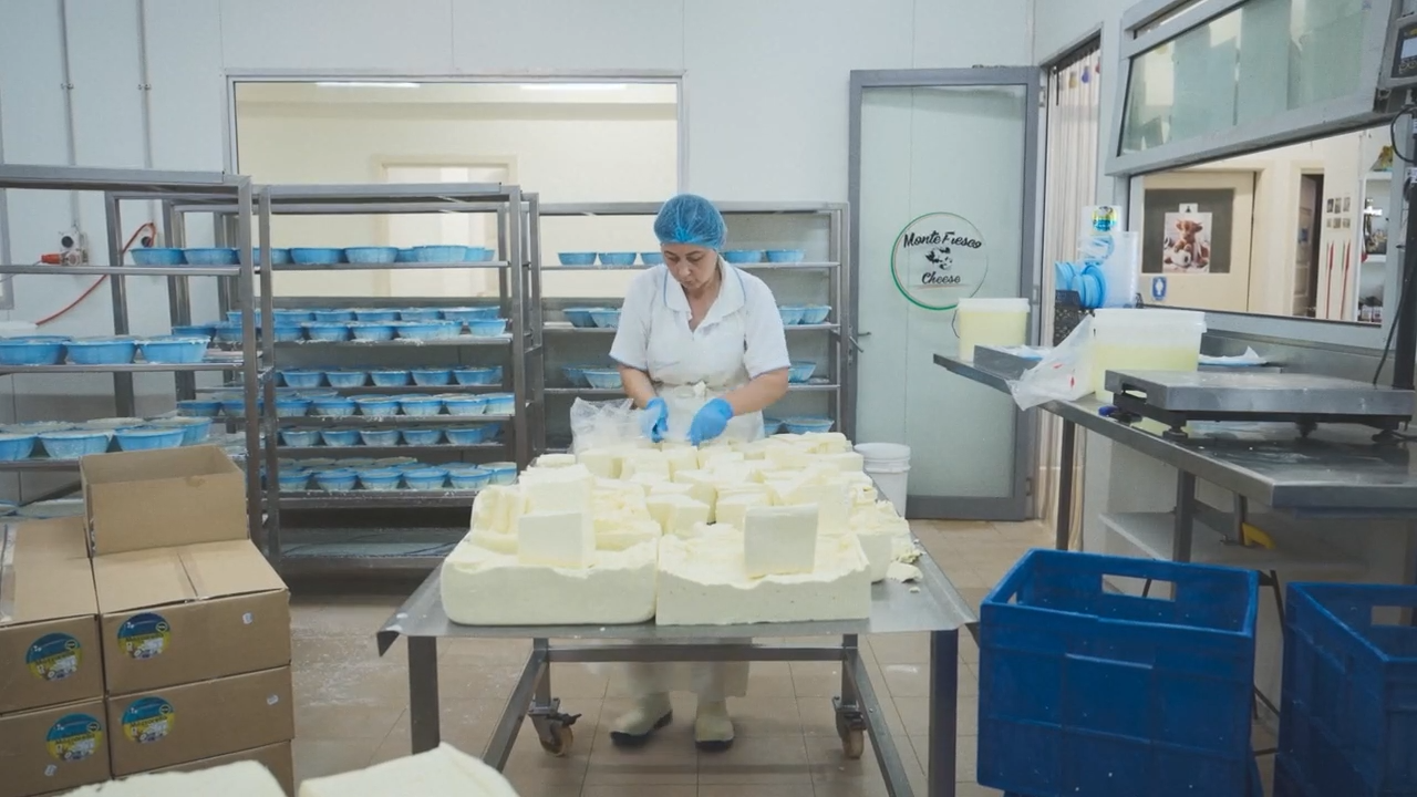 Experience the artistry of Italian cheesemaking at Monte Fresco Cheese. Photo: Josh Robenstone.