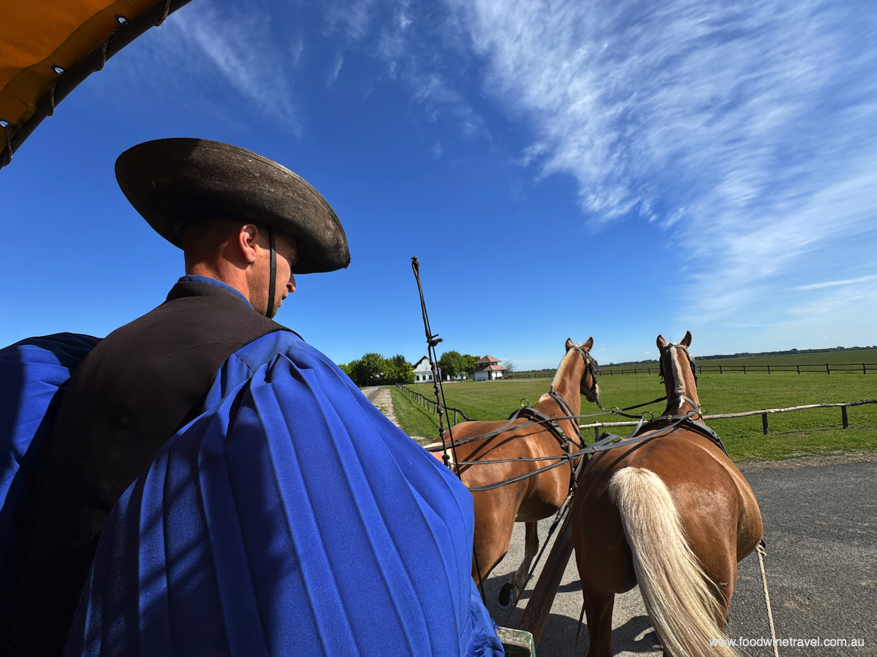 Wearing traditional blue  attire, Hungarian csikós demonstrate an incredible harmony with their horses.