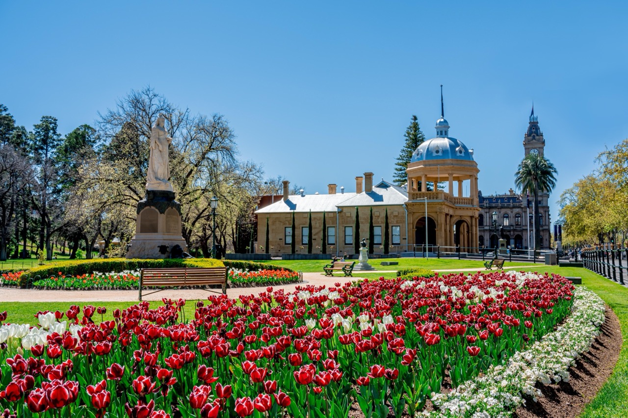 Bendigo Bloom in spring.