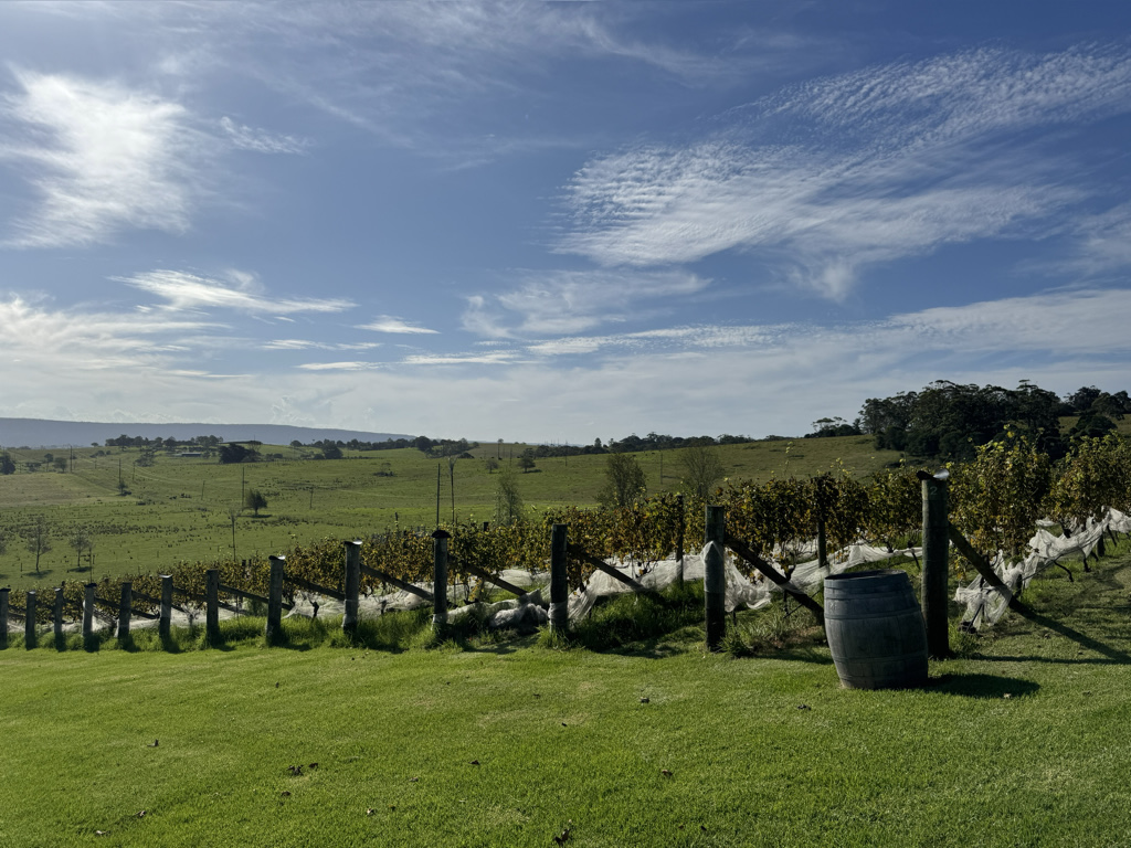 Cupitt’s Estate produces 4 tonnes of Sauvignon Blanc, but most of its wines are sourced from top NSW regions.