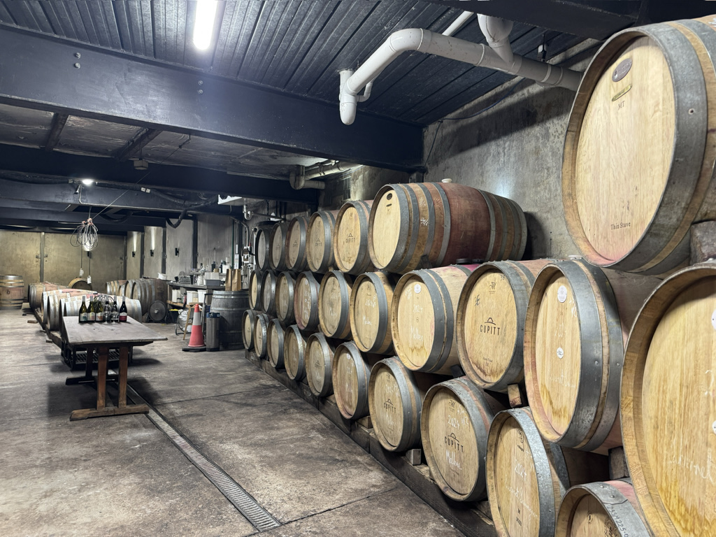 Cupitt’s Estate underground barrel cave forged from local Milton monzonite rock.
