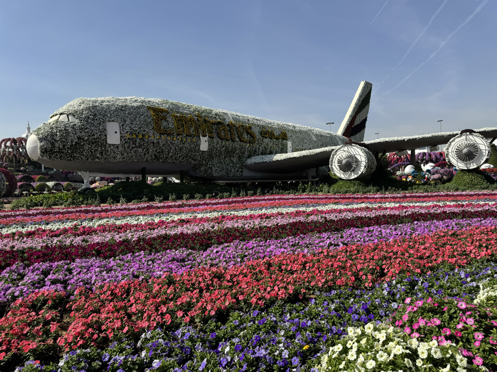 At Dubai Miracle Garden, a life-size model of Emirates A380 is covered in 500,000 flowers and living plants.