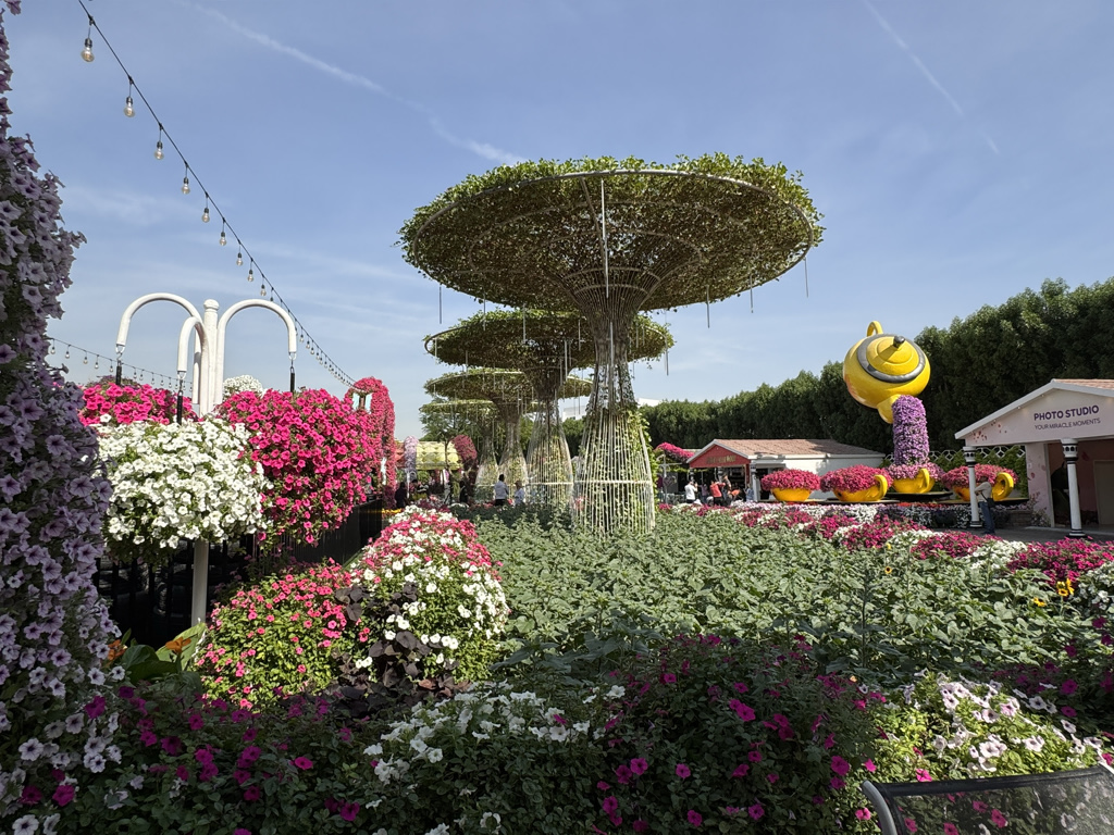 Winter is a glorious time to enjoy the Dubai Miracle Garden.