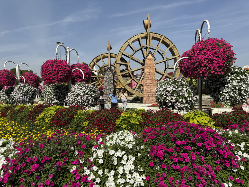 Dubai Miracle Garden The water wheel gets a new floral display each winter.