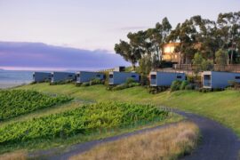Marnong Estate luxury apartments overlook the vines.