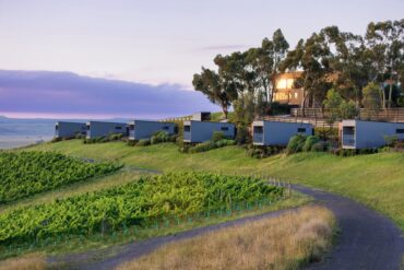 Marnong Estate luxury apartments overlook the vines.