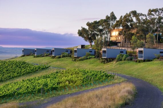 Marnong Estate luxury apartments overlook the vines.