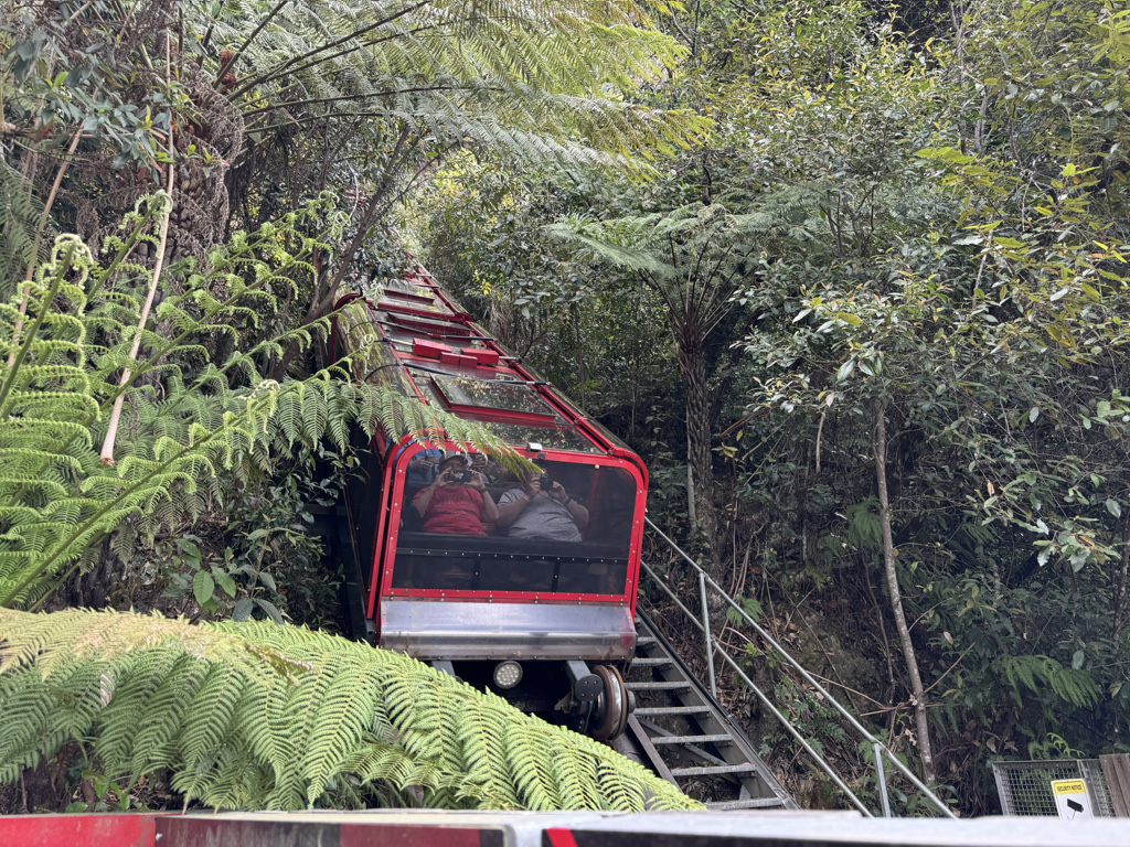 The Scenic World train descends 310 metres into the forest.