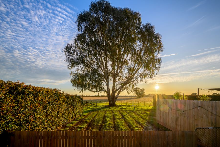 Victoria, accommodation for Brown Brothers experience