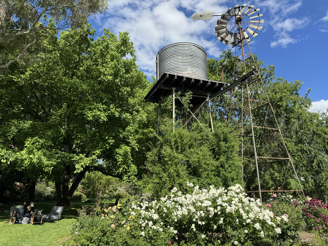 Brown Brothers’ meticulously tended gardens welcome cellar door guests.