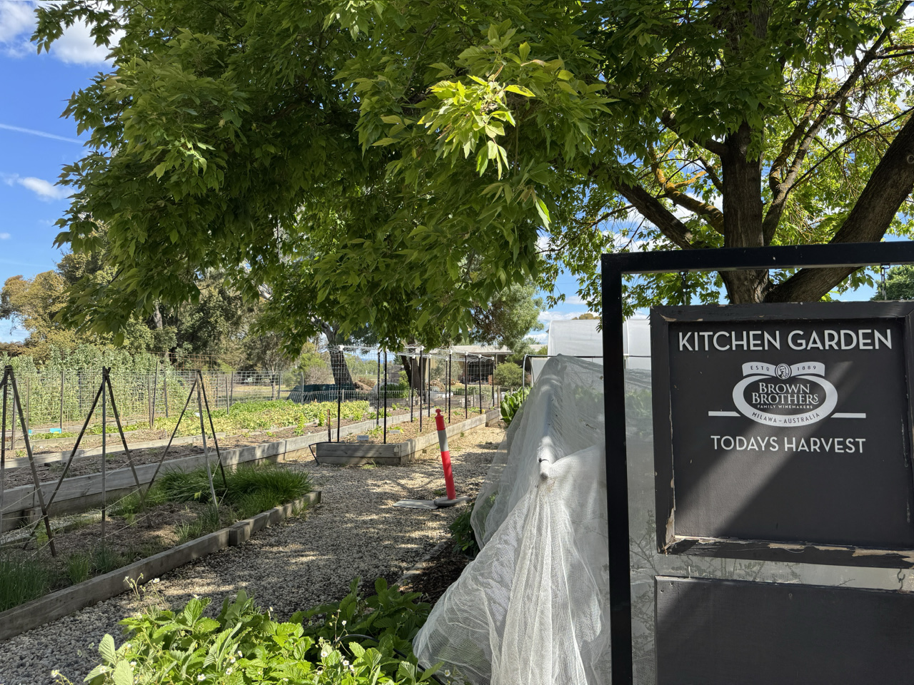 Many of the ingredients are harvested from the kitchen garden.