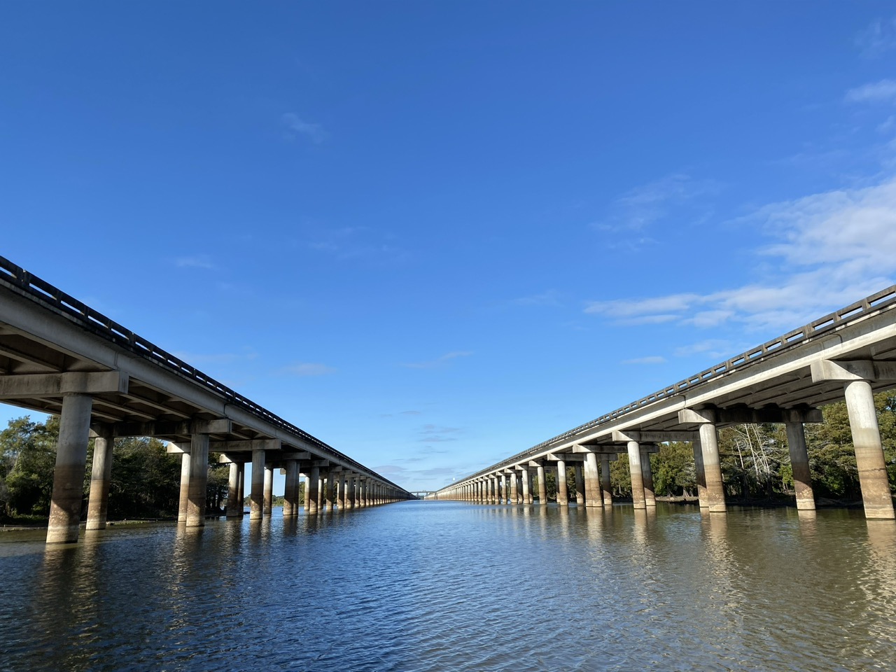 Parallel bridges carry Interstate 10 over the swamp for 18 miles.